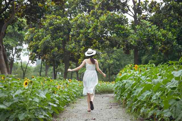 掌握情绪调节的艺术，心理、生理与社会层面的探索-第1张图片-教呗网